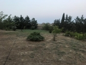 Satılır 12 sot torpaq Maştağa