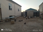 Satılır 5 otaqlı 300 m2 həyət evi Hövsan