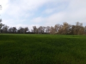 Satılır 670 sot torpaq Xaçmaz