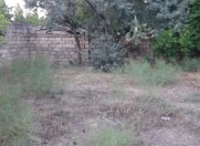 Satılır 6 sot torpaq Badamdar