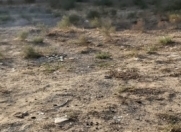 Satılır 3 sot torpaq Saray