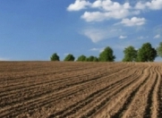 Satılır 54 sot torpaq Mehdiabad