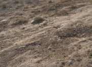 Satılır 3 sot torpaq Masazır