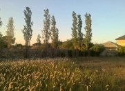 Satılır 15 sot torpaq Novxanı