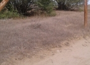 Satılır 10 sot torpaq Ləhic Bağları