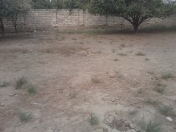 Satılır 5 sot torpaq Olimpia Stadionu