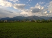 Satılır 250 sot torpaq Qəbələ