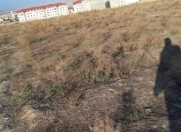 Satılır 100 sot torpaq Masazır