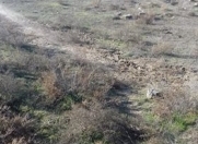 Satılır 8 sot torpaq Masazır