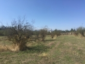 Satılır 80 sot torpaq Quba