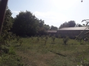 Satılır 26 sot torpaq Qəbələ