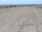 Satılır 17000 sot torpaq Şabran