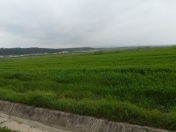 Satılır 857 sot torpaq Şabran