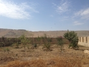 Satılır 8 sot torpaq Qobu