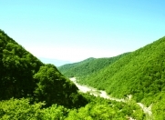 Satılır 11 sot torpaq İsmayıllı