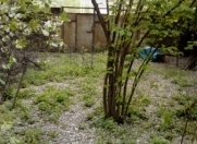 Satılır 8 sot torpaq Qusar