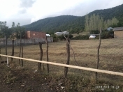 Satılır 16 sot torpaq Qəbələ