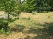 Satılır 1000 sot torpaq Qəbələ