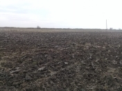 Satılır 10000 sot torpaq Xaçmaz