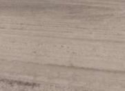 Satılır 2000 sot torpaq Zirə