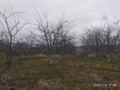 Satılır 20 sot torpaq Quba