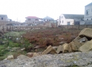 Satılır 7 sot torpaq Hövsan