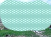 Satılır 4 sot torpaq Qobu