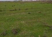 Satılır 200 sot torpaq Maştağa