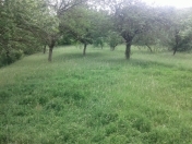 Satılır 38 sot torpaq Quba