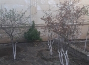 Satılır 4 otaqlı 220 m2 həyət evi Mərdəkan