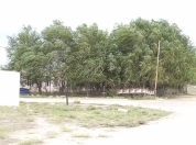 Satılır 4 otaqlı 110 m2 obyekt Fövqəladə Hallar Nazirliyi