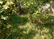 Satılır 2 sot torpaq Xırdalan