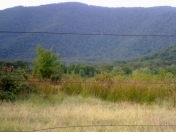 Satılır 20 sot torpaq Zaqatala