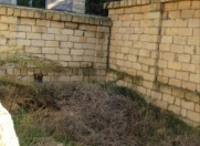 Satılır 3 otaqlı 400 m2 bağ evi Nardaran