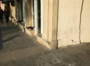 Satılır 1 otaqlı 70 m2 obyekt Gənclik m.