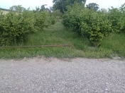 Satılır 8 sot torpaq Xaçmaz