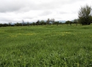 Satılır 10 sot torpaq Qəbələ