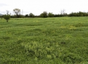 Satılır 10 sot torpaq Qəbələ