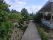 Satılır 20 sot torpaq Buzovna