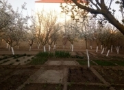 Satılır 8.25 sot torpaq Buzovna