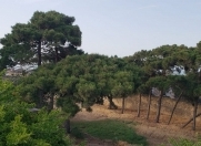 Satılır 33 sot torpaq Buzovna