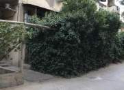 İcarəyə verilir 1 otaqlı 25 m2 köhnə tikili İnşaatçılar m.