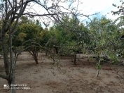 Satılır 8 sot torpaq Buzovna