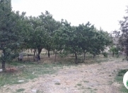 Satılır 400 sot torpaq Qobustan