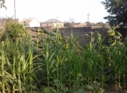 Satılır 24 sot torpaq Sumqayıt