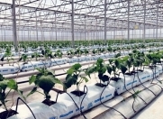 Satılır 12 otaqlı 3000 m2 obyekt Zirə