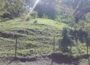 Satılır 61 sot torpaq Quba