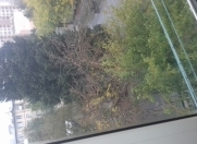 İcarəyə verilir 2 otaqlı 50 m2 köhnə tikili 3 mkr