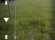 Satılır 120 sot torpaq Şabran