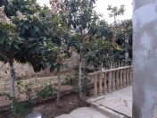 Satılır 3 otaqlı 100 m2 həyət evi Mərdəkan